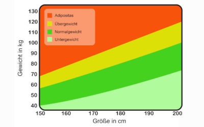 Der Body mass index (BMI) im Auge des Betrachters