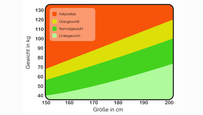 Body mass index: Zusammenhang von Körpergröße und Gewicht